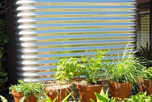 1501 rainwater in the city – 10