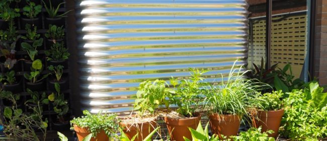 1501 rainwater in the city – 10