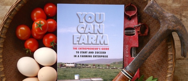 you can farm feature