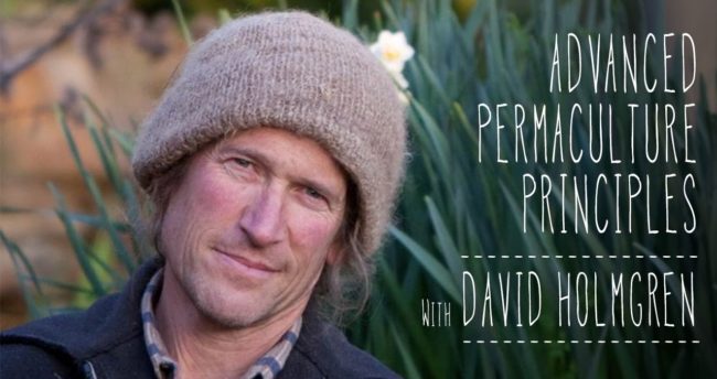 Advanced-Permaculture-Principles-skinny