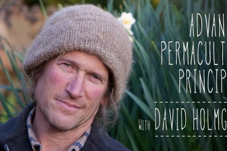 Advanced-Permaculture-Principles-skinny