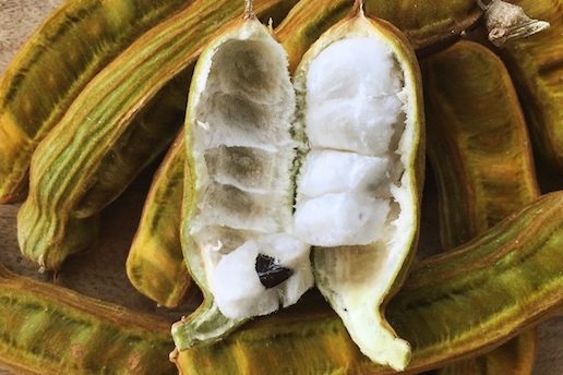 ice cream bean 072