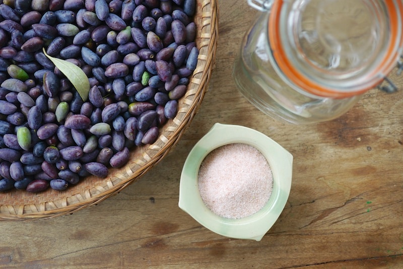 Curing Olives Basic Brine + Salt Methods Milkwood