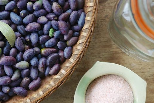 preserving olives