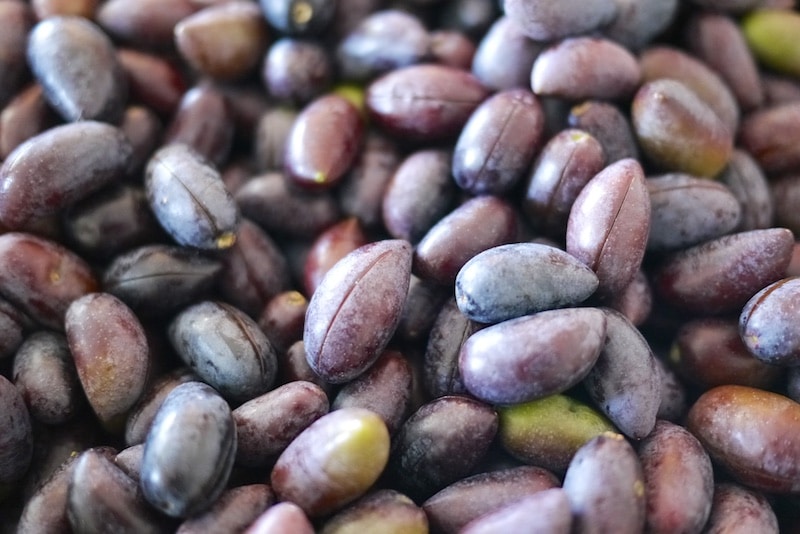 preserving olives 9