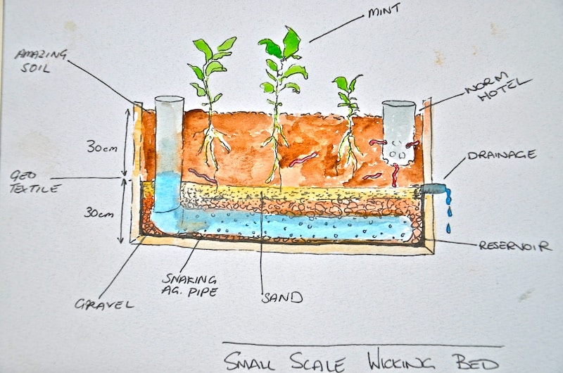 wicking forest garden