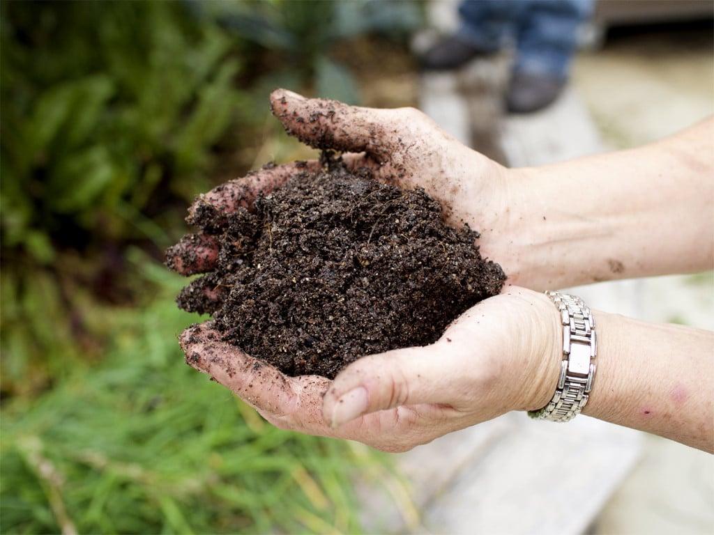 A handful of homemade seed-raising mix