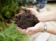 A handful of homemade seed-raising mix
