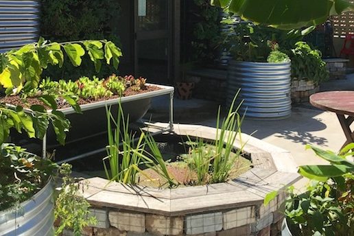 wicking forest garden