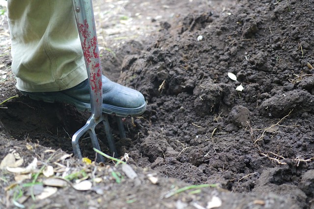 Preparing A New Garden Bed With Double Digging