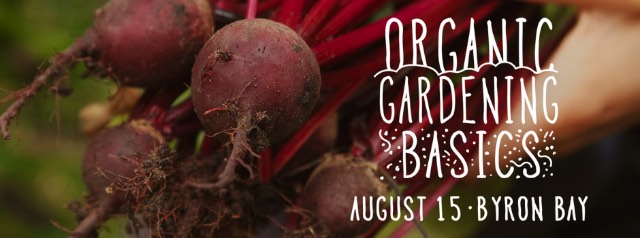 Organic Gardening Basics