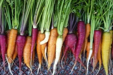 How to Get Growing This Spring