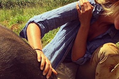 farmer cass