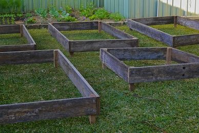 garden beds (1)