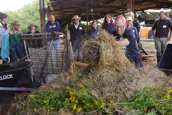 biointensive growing course 318