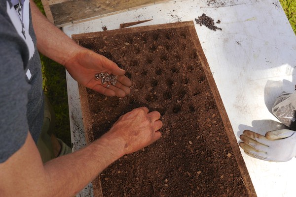 biointensive growing course 340