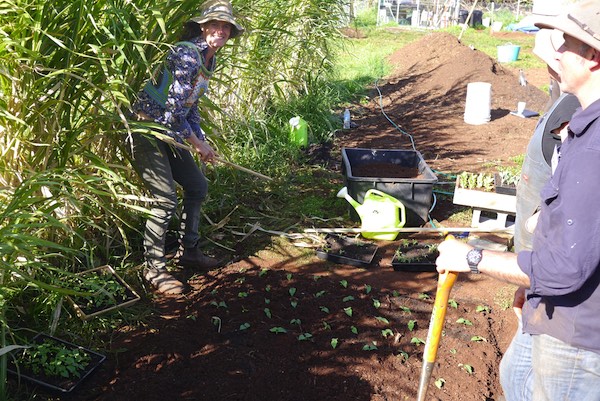 biointensive growing course 361