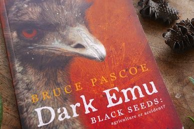 dark emu 310