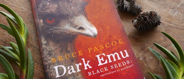 dark emu 310