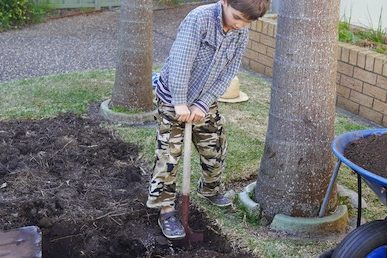 double digging the veggie beds 243