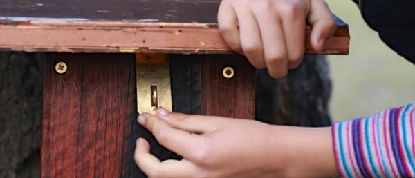 making a bat box 299