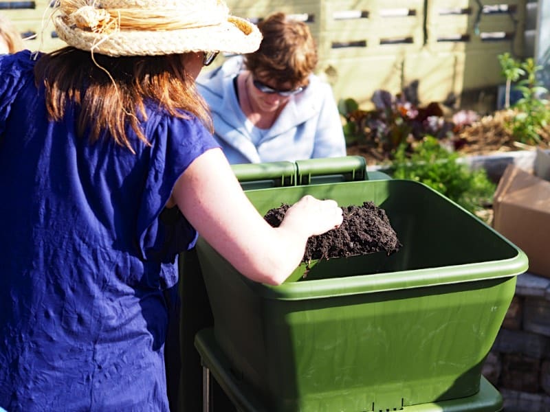 making a worm farm 306