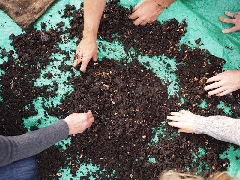 making a worm farm 317