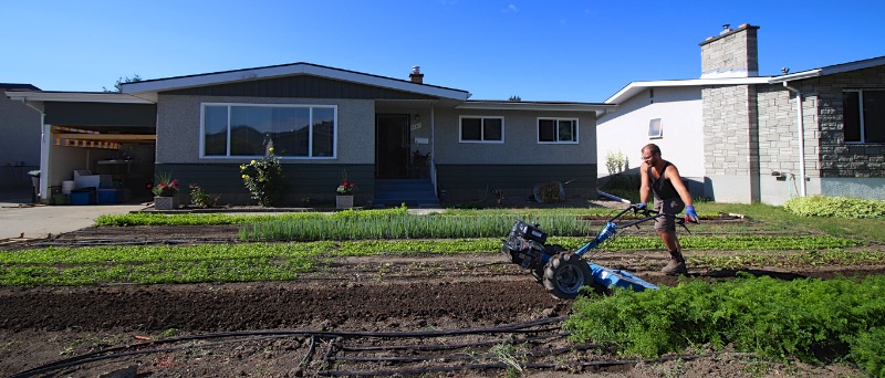 Micro-farming on Rented Land: Curtis Stone Interview