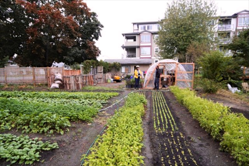 Micro-farming on Rented Land: Curtis Stone Interview