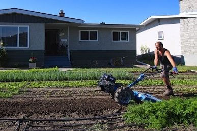 Urban Farmer