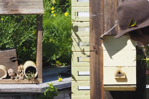 Installing Native Bees + Making Insect Hotels