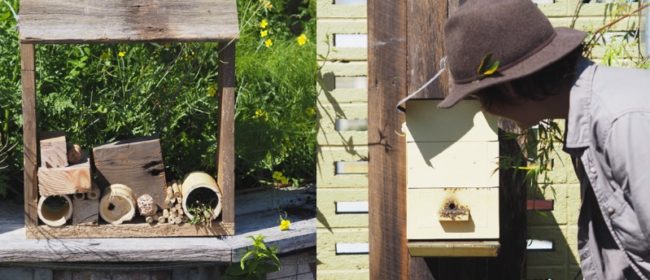 Installing Native Bees + Making Insect Hotels