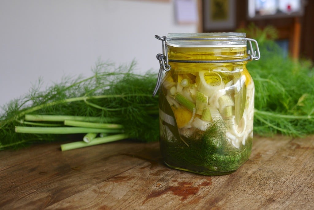 Pickled Fennel Agrodolche 1