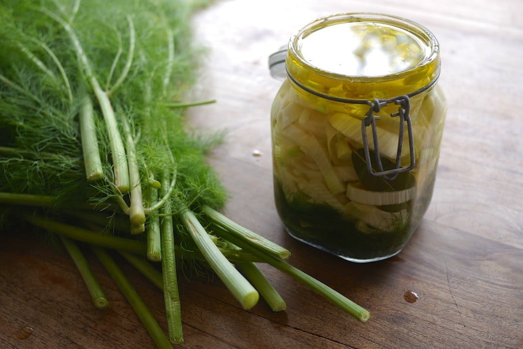 Pickled Fennel Agrodolche 13