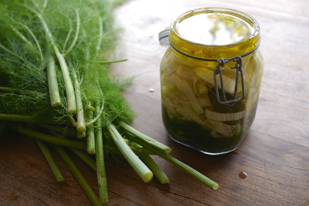 Pickled Fennel Agrodolche Storing the Season