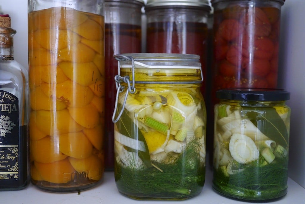 Pickled Fennel Agrodolche 14