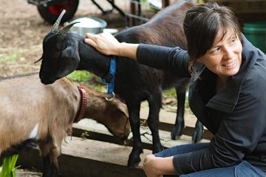 How to Convince your School to Get a Goat 404
