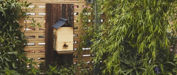 Funky Urban Permaculture Designs by VEG - Milkwood 