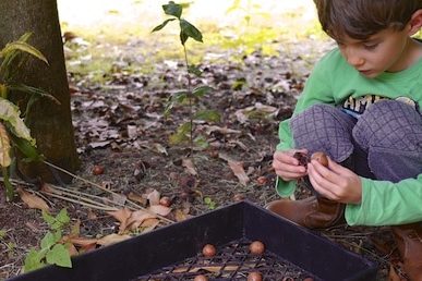 gleaning 504
