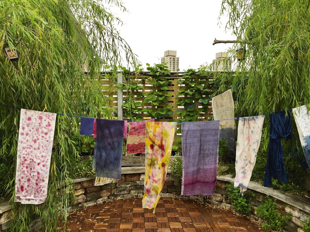 Plants as Paintbox - Natural Dyeing basics - Milkwood: permaculture ...