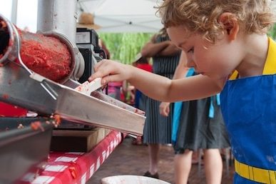 milkwood passata day 830