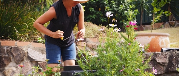 Compost geek 845