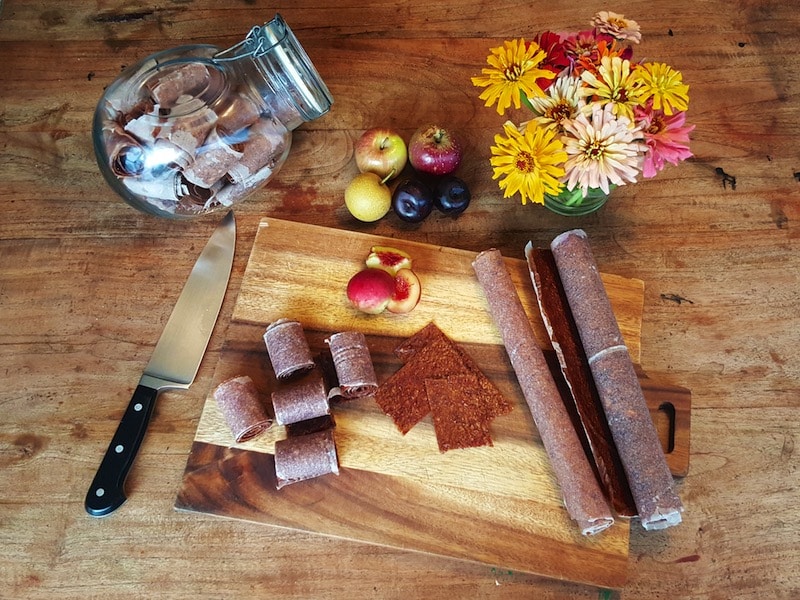 Home made DIY Fruit leather roll-ups