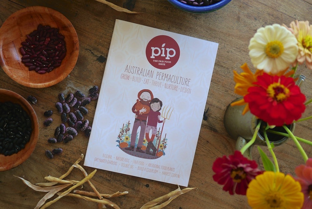 pip mag 839