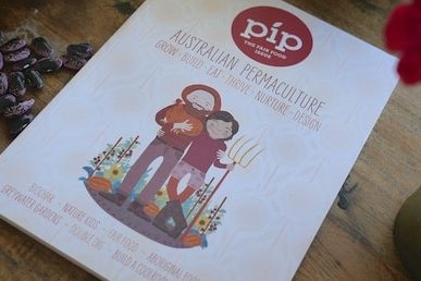 pip mag 845