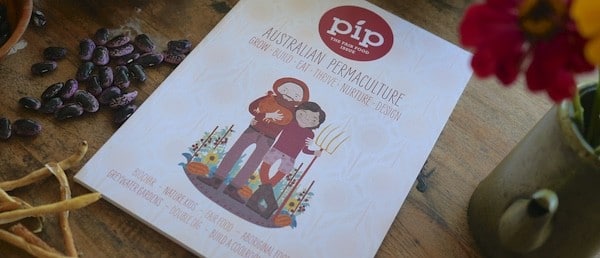 pip mag 845