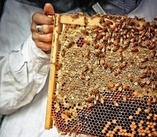 21238311361-20267701-4