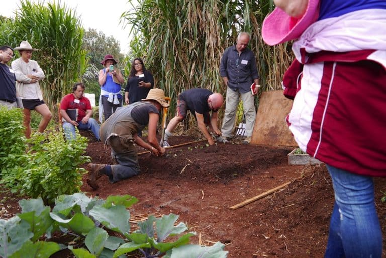 People digging a new garden bed together