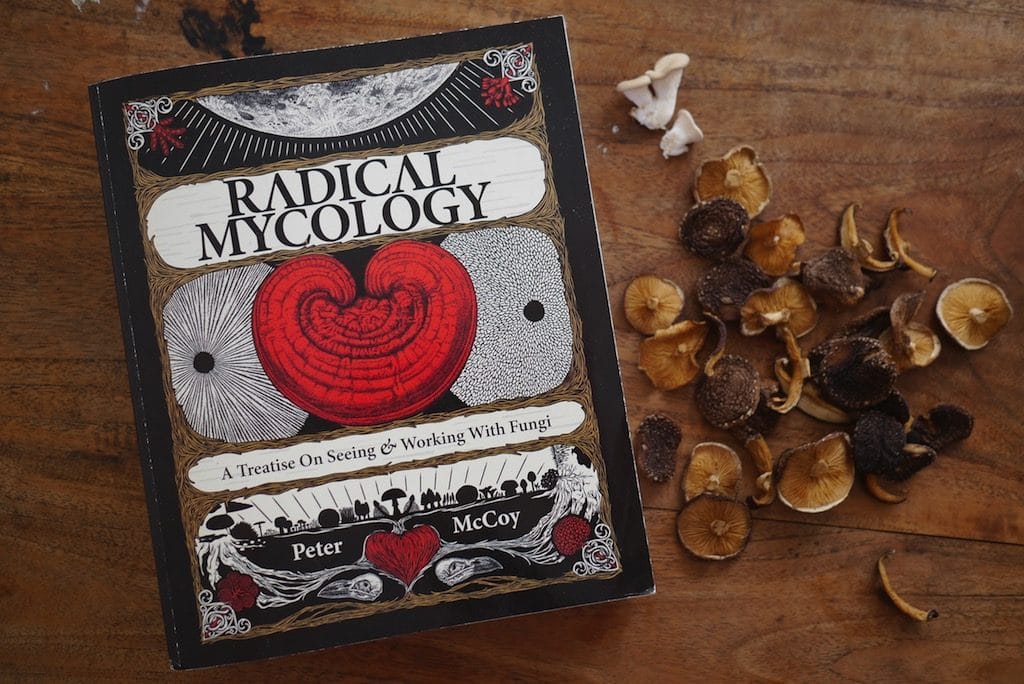 radical mycology 1