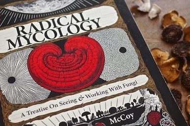 radical mycology